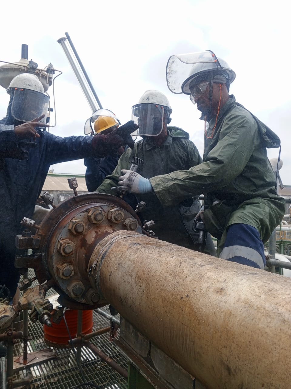 Moonstone home 3 Furapet